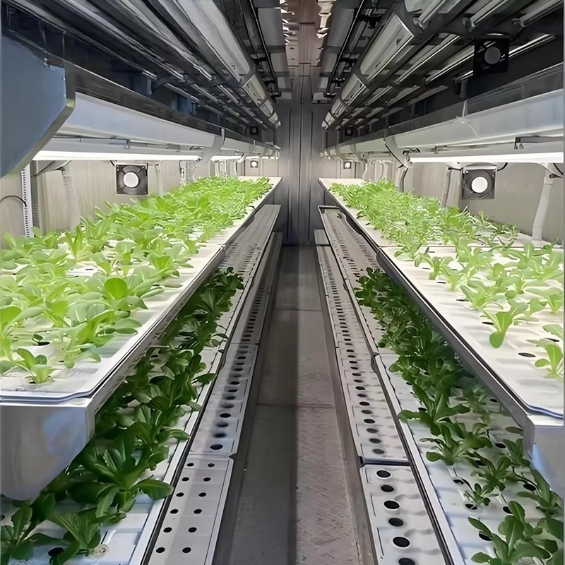 Akıllı Dikim Kabı Dikey Tarım  - Urban Farming Hydroponic System incelemesi ve fiyatı