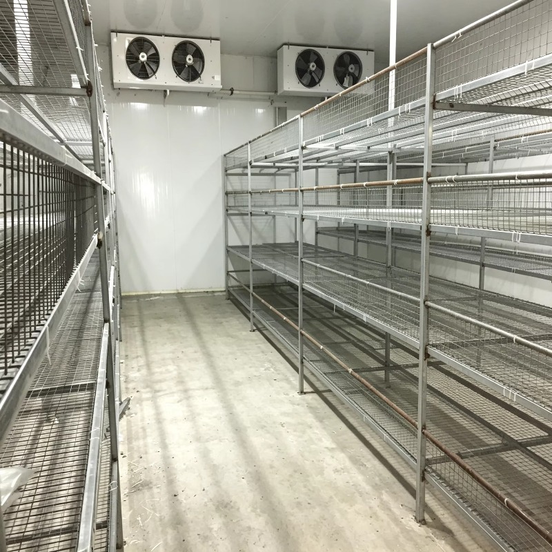 Otomatik Sulama Sistemli Hidro - Urban Farming Hydroponic System incelemesi ve fiyatı