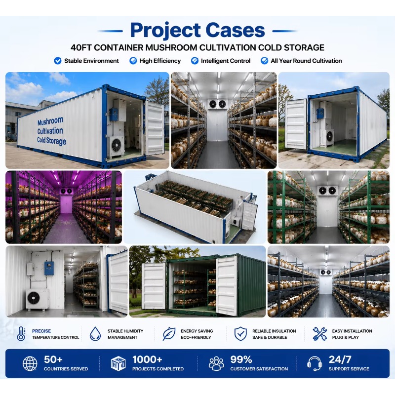 Otomatik Sulama Sistemli Hidro - Urban Farming Hydroponic System incelemesi ve fiyatı